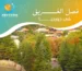 فصل الخريف في جورجيا